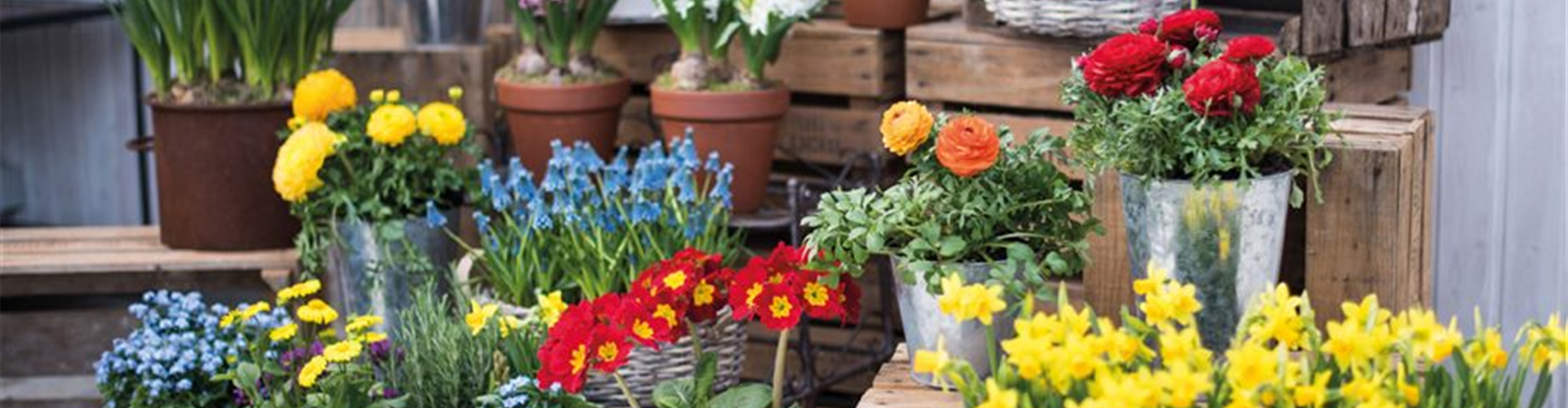 Gartenfreude zu verschenken!