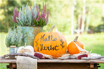 Herbst auf den Balkon holen