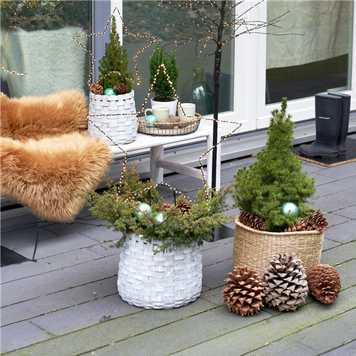 Gartenkalender Dezember 2026